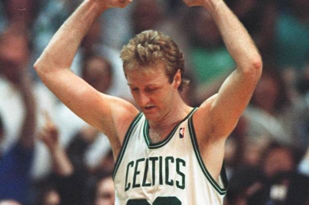 050897-lib_-bird_s_future_2812463